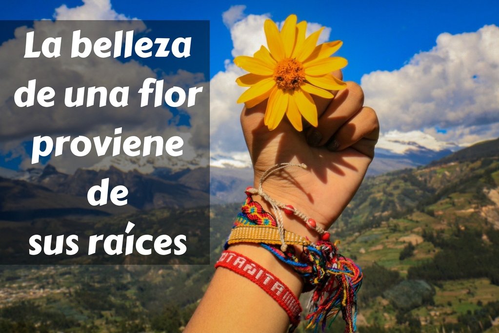 "La belleza de una flor proviene de sus raíces." - Ralph Waldo Emerson
#SantaNatura #Perú