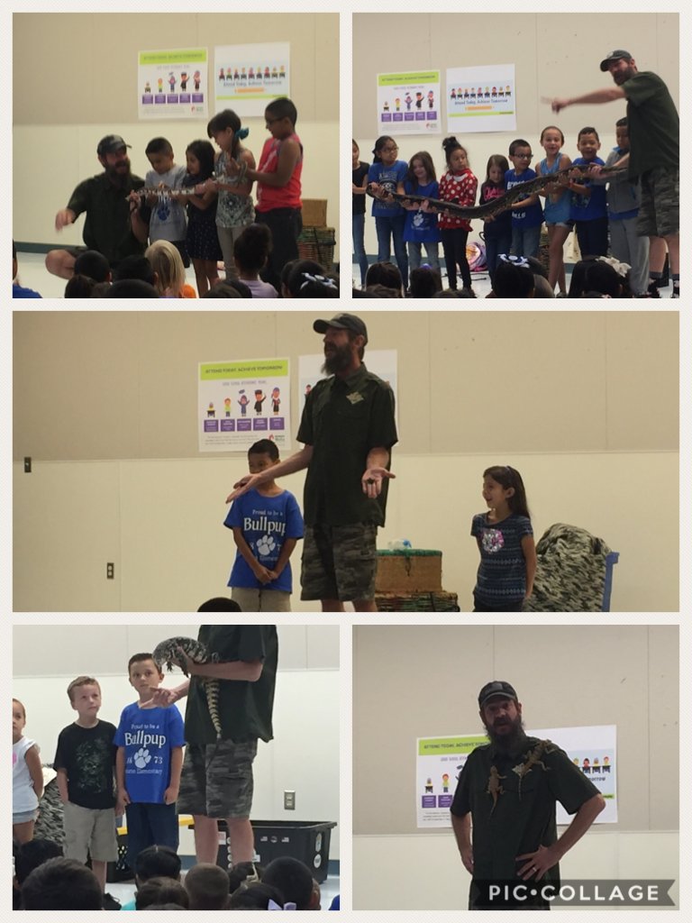Reptile man came on Friday!! It was a great time for the students! #bsdproud  piccollage.com/_kJbczVbK