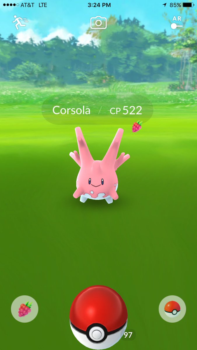 _Sirthrive's tweet photo. In Florida for my honeymoon! #PokemonGo #Corsola https://t.co/e193AYESQE