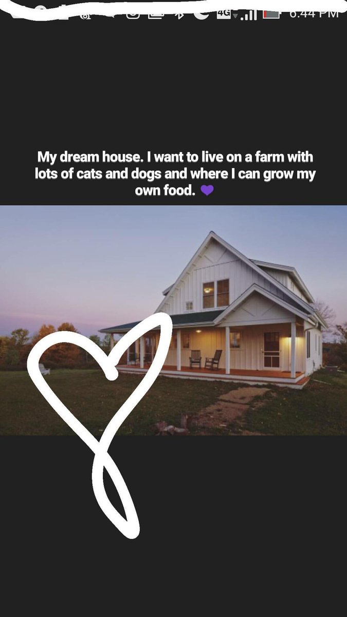 jadeetoms's tweet photo. True happiness. House for my dogs and I.💜🙏🐻 #dogs #houseofdogs https://t.co/1yin0hil4b