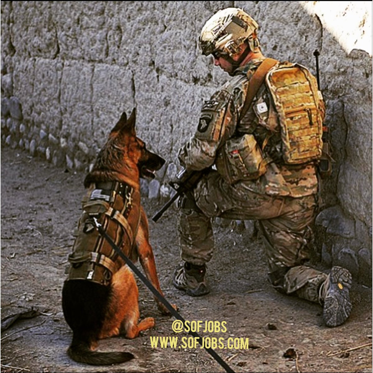 SOFJOBS's tweet photo. Handler: "Okay. Ready on 3."
K-9: "1,2,3 or 1,2,3 Go?"
Now that's Working SOF! #WorkingSOF #PlayHardWorkSOF #SpecialOperations #K9 https://t.co/TpRB3prj8P