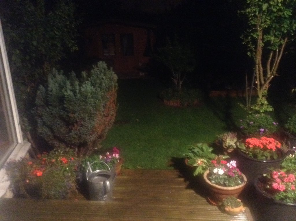 ___________Lucy's tweet photo. Posy gamely keeping me company as we enjoy the lovely rainy night. Lucy, less gamely, buggered off to bed.   🌧🌧🌧 https://t.co/1l2lDclj6S