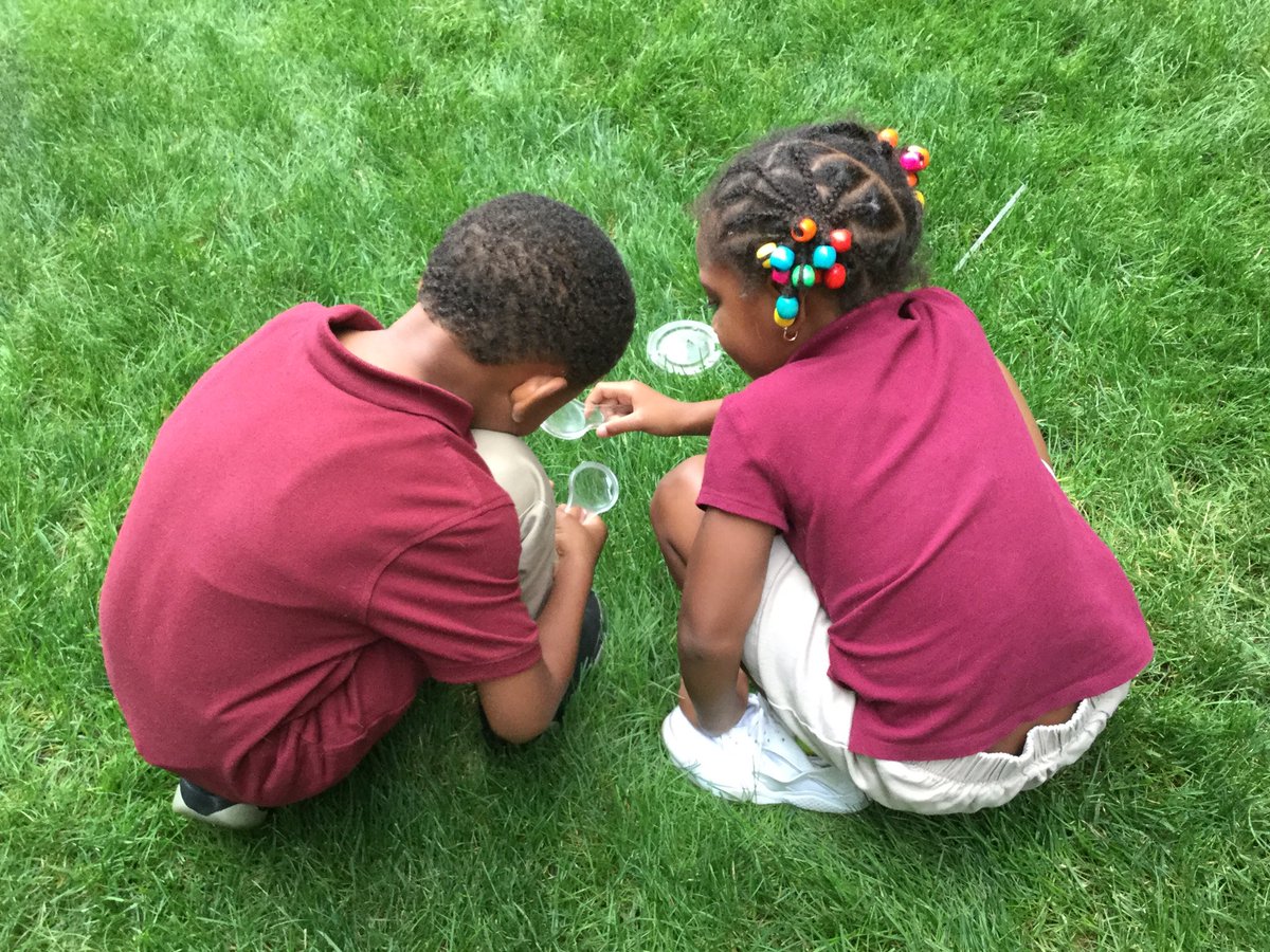 MsDanahy's tweet photo. In kindergarten today the children took to the outdoors to observe and a explore living things. @bbcps https://t.co/qCVAMKDOxg