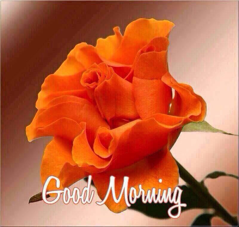 bablukumarray52's tweet image. 