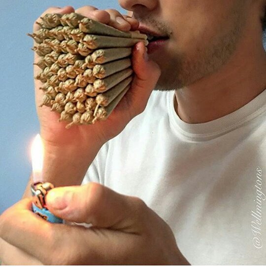 ragmipromotes's tweet photo. "Maconha mata"
Eu https://t.co/B8u3f6sKlC