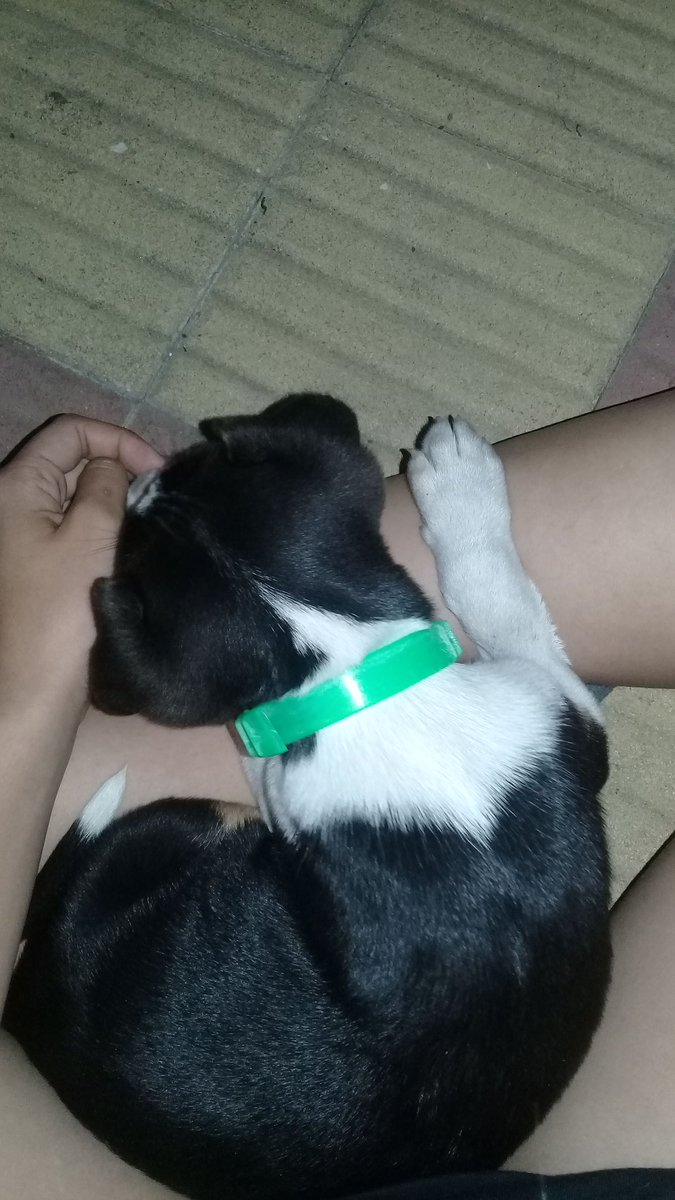 Giuli_bergallo's tweet photo. cositaaaaa😍💕 https://t.co/BppkIMZnRU