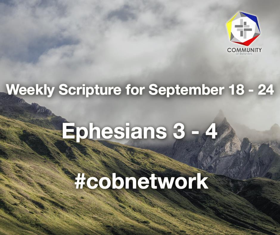cobnetworkorg tweet picture