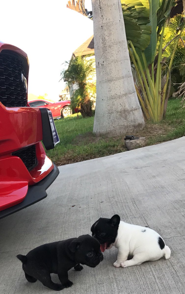 "click for a surprise"