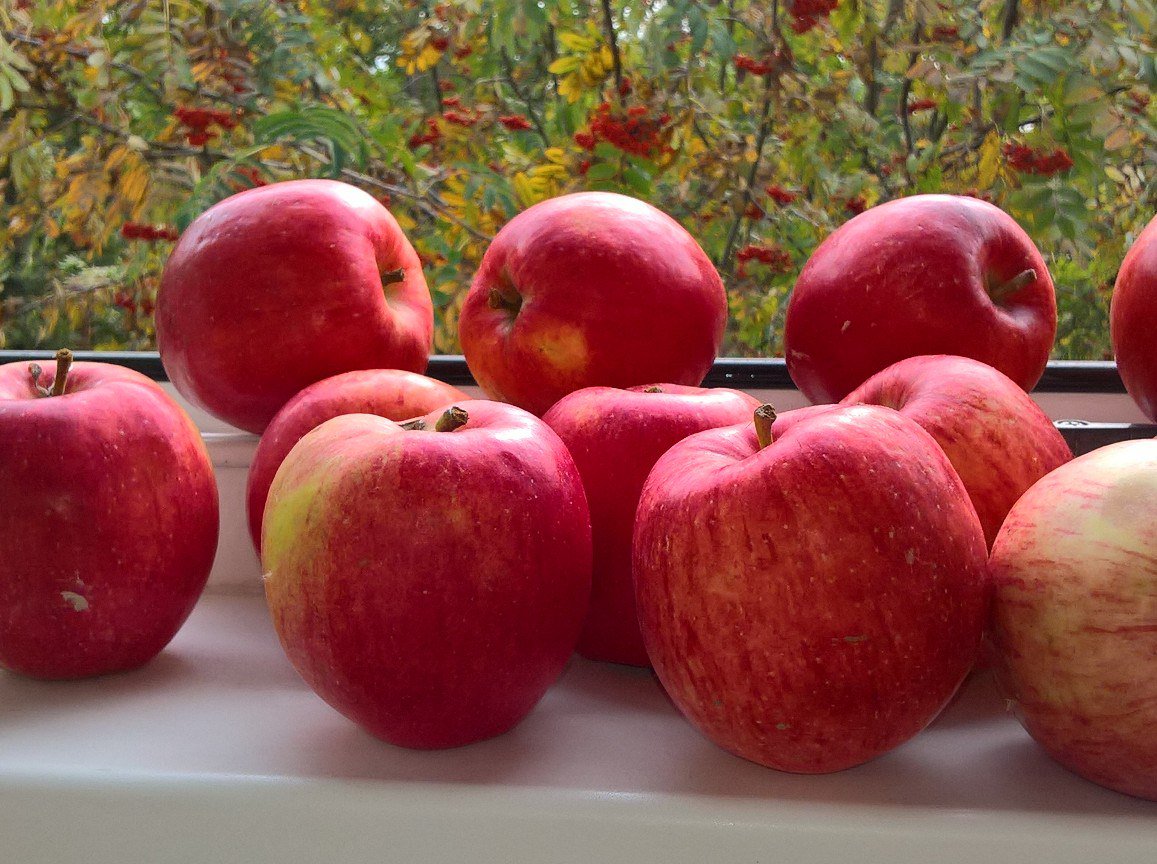 Гаврикова Ольга (@OlgaGavrikova) | Twitter