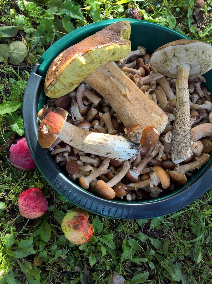 Гаврикова Ольга (@OlgaGavrikova) | Twitter