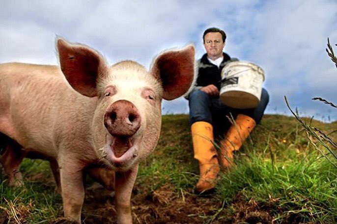 RosiePosieBTN's tweet photo. Can we just take a moment to acknowledge the fact it's #piggate eve 🎉🐽🎉🐽🎉🐽🎉🐽 the BEST political news story, ever 😂 #snoutrage @NoTumbleweed https://t.co/LtxrhpzVom