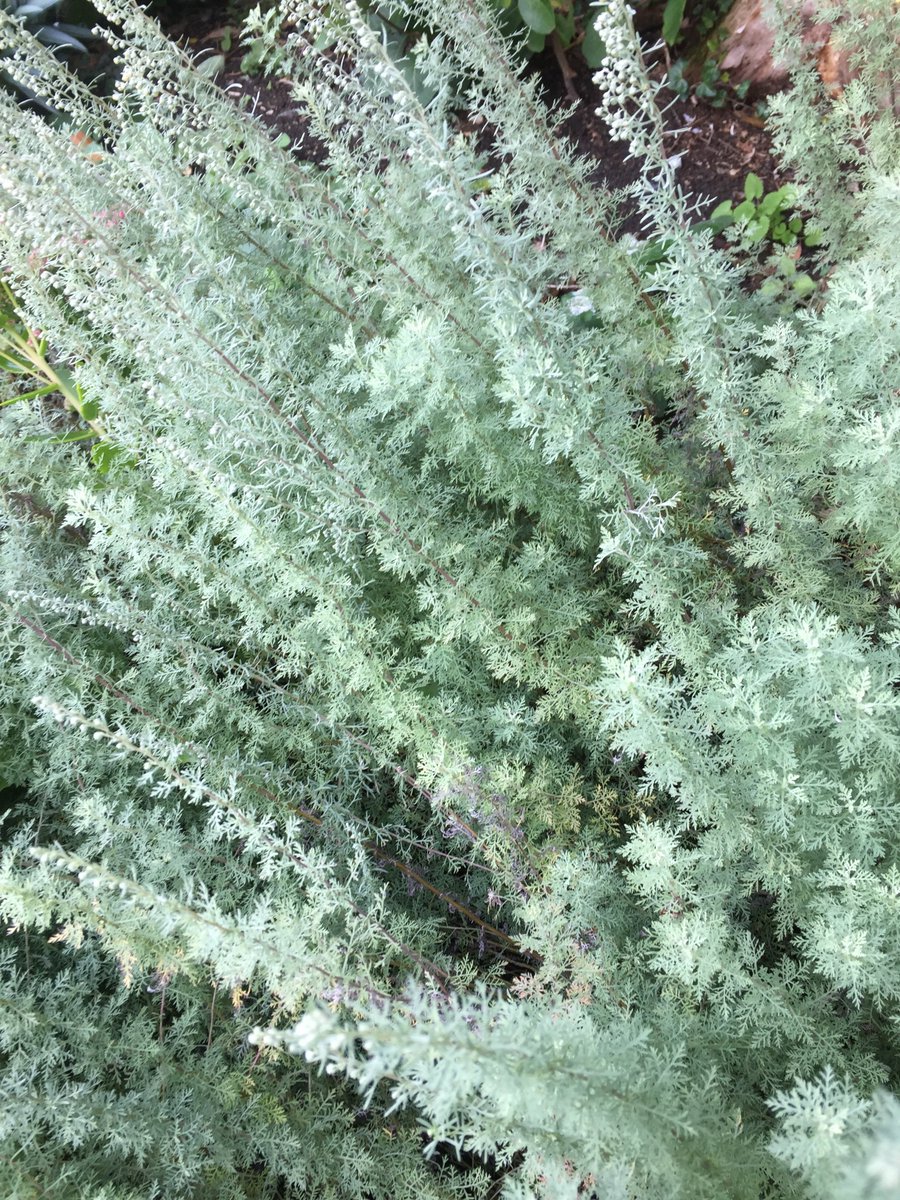 Hindringham Hall tweet media