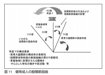 Masahiro Fukuda 真の股関節屈曲は93 実際はもっと屈曲するように思いますよね でも それは骨盤の動きを含んでいるのです T Co Np4d2lblyq