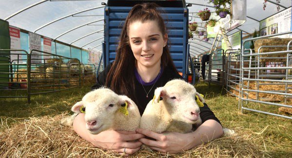 irishexaminer's tweet photo. #IEFarmPoll: Splashing the cash as the rural recovery takes hold, writes @noelbaker1 https://t.co/Xl0fxxxloa (DOD) #Ploughing17 https://t.co/F2ZKAthlsJ