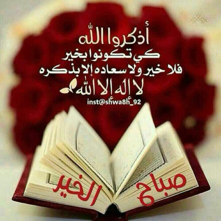 Bassem Bakri (@bakri_bassem) on Twitter photo 