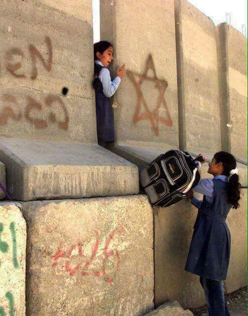 MamMalika2's tweet photo. #صورة  هكذا يشق كثير من اطفال فلسطين طريقهم للمدارس بسبب حواجز الاحتلال الصهيوني 
#فلسطين https://t.co/DYGDmYgLFc