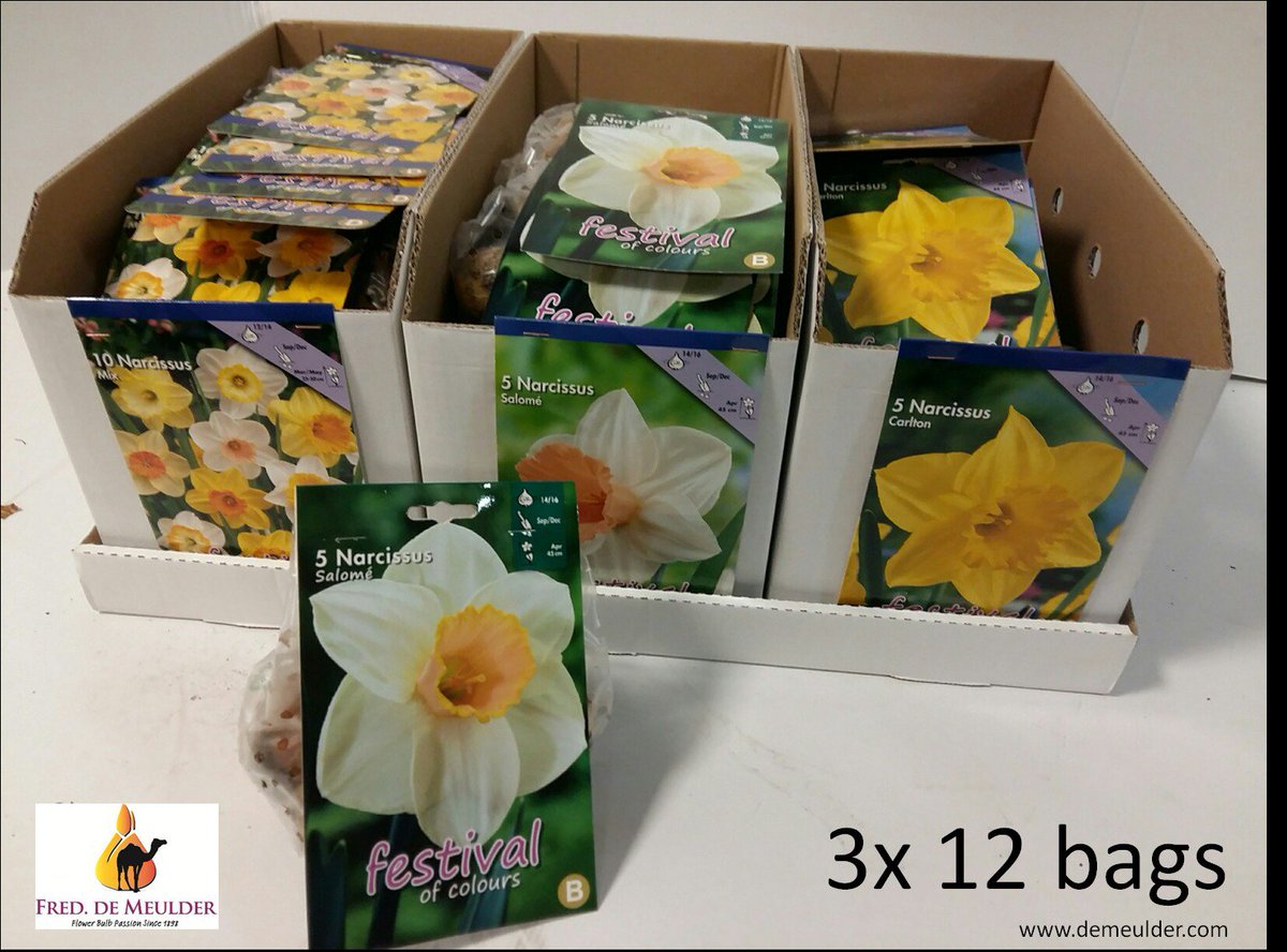 MeulderBv's tweet photo. volop verpakte #bloembollen op @FloraMondo @FloraHolland https://t.co/ThJTEqS47N