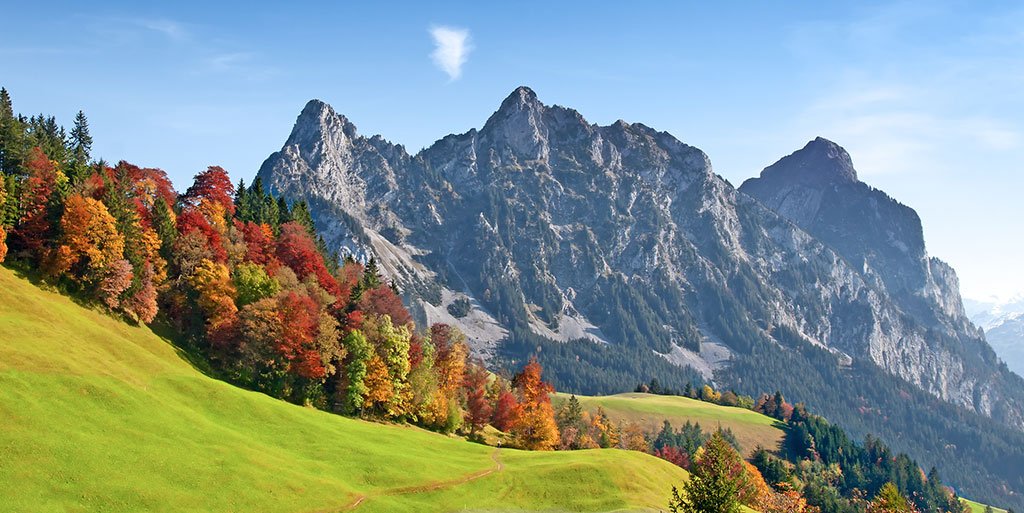 BespokeSwitzerland tweet media