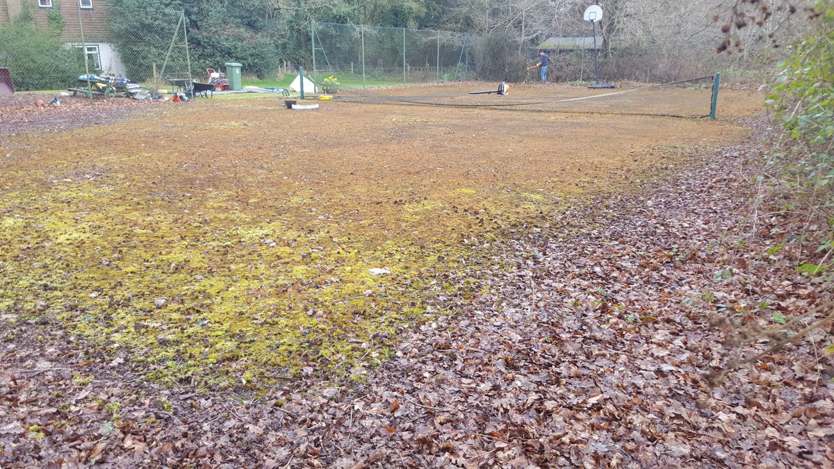AbsoluteCourts's tweet image. Want to see what we did with this moss infected tennis court. 
Check Out: absolutetenniscourts.com/godalming-surr…
