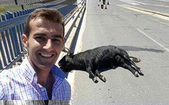 Para este torero, ¿también es arte y cultura hacerte un selfie con un toro que han atropellado en la calle? Pero qué puto asco de gente.