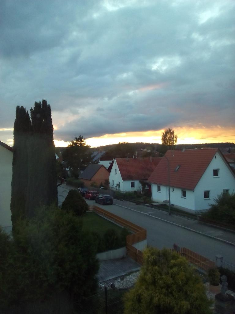 Chinchacat's tweet photo. #gestern abend https://t.co/VekdCpWlpc