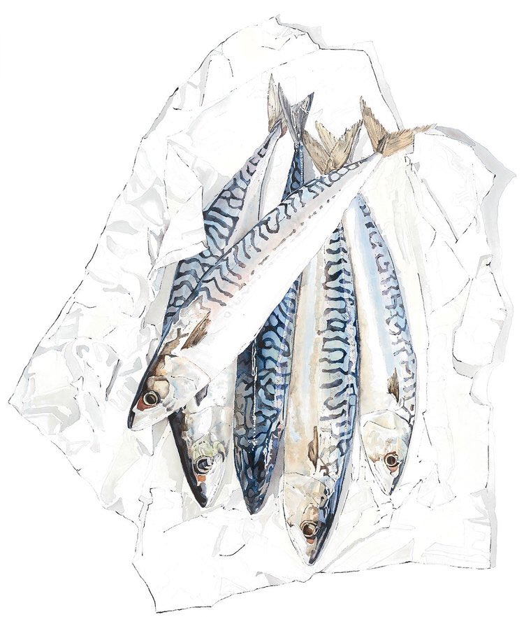 LucyclaytonLucy's tweet photo. Looking forward to exhibiting #mackerel & #sweetpotato in the @SGFADrawing #Draw17 #exhibition @MenierGallery 2-14 Oct #London #foodie #art https://t.co/E9nkv3Ke7V