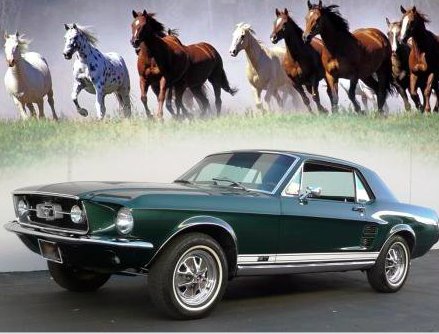 Evroprotocol's tweet image. Most Popular #Cars named after Animals  dld.bz/geyTz