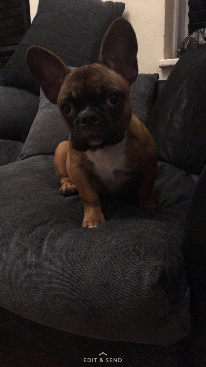 memseyxman's tweet photo. I ain't moving for no one @P_Wicks01 😂😂🤷‍♀️ https://t.co/vsRoRQtpyl