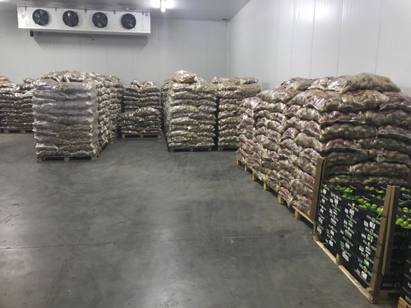 GREEK FRESH POTATOES...GREEK FRUITS KOUTSOGIANNOPOULOS
GREEKFRUITS.GR
INFO@GREEKFRUITS.GR