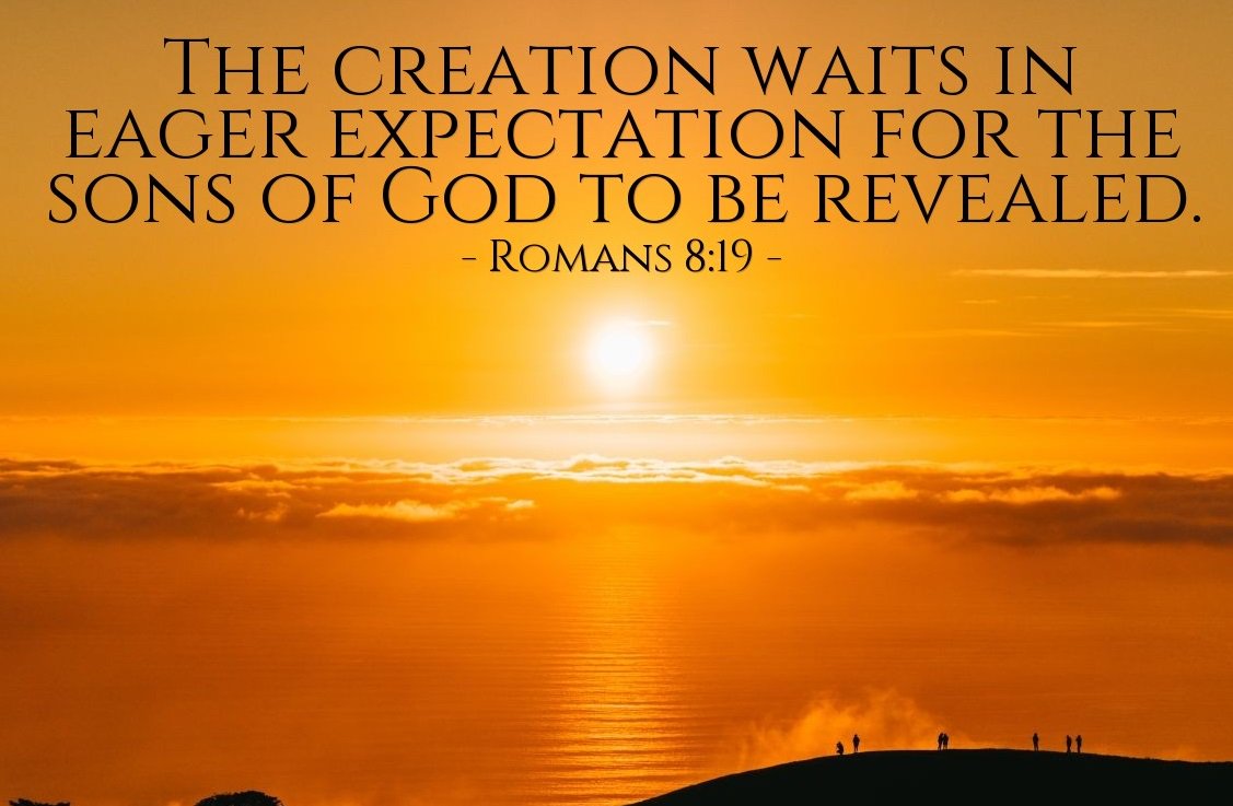 IMMANUEL_GOD's tweet photo. GOD IS GOOD https://t.co/59eM1x0xEV
#GODBLESSING #GODPROTECTION #GODPROVISION https://t.co/i02Znf0TR9