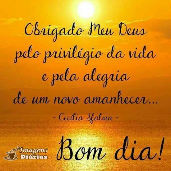 omarcunha's tweet photo. #PARCEIROSBETA https://t.co/HHw4bmBoV7