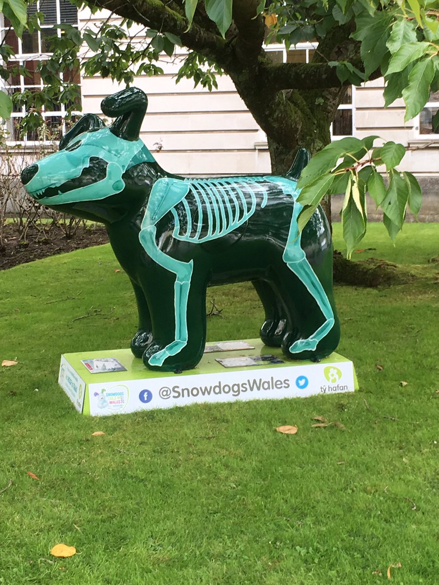 Cardiff Radiography tweet media