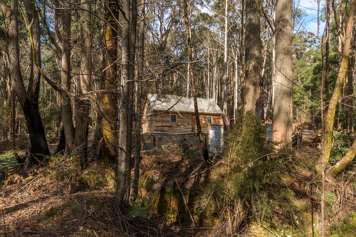 TinDTC's tweet photo. VIDEO: 
Settlers Hut in #NorthEastTasmania is ideal for accessing all the #BlueDerby &amp; #BlueTier #MTB trails
https://t.co/UuIuJ3s31R https://t.co/3JXGLSOGq4