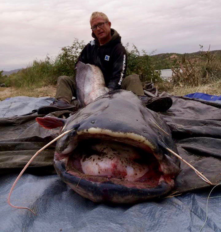 Fish Dynamix tweet media