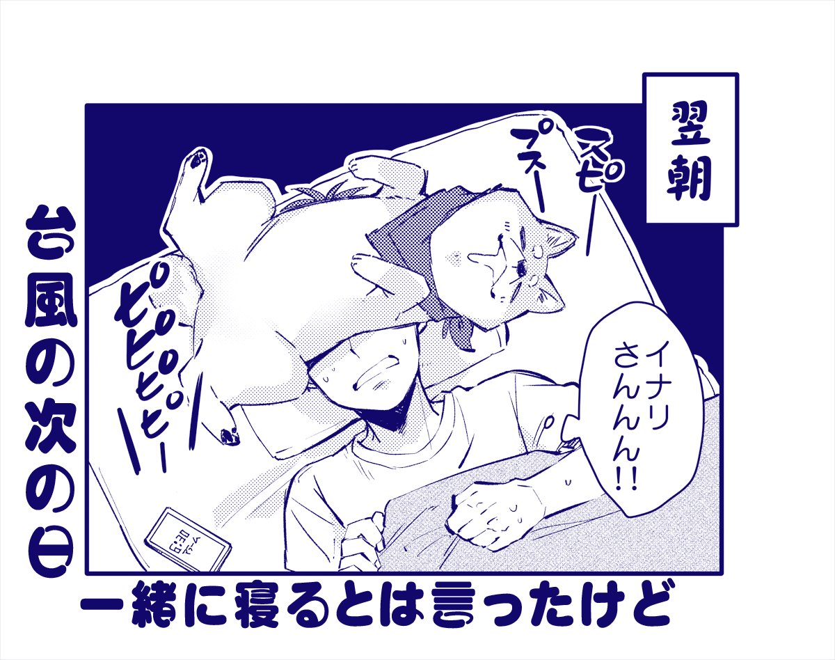 【わんこ】台風の翌朝「一緒に寝るってこういう事じゃないですイナリさん!」 
