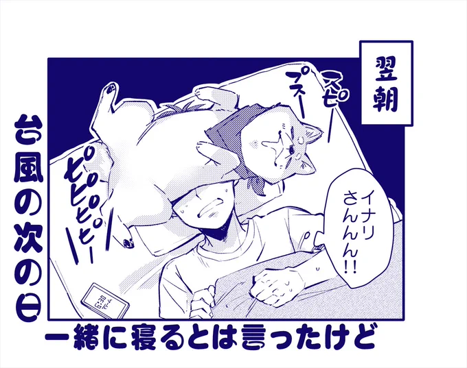 【わんこ】台風の翌朝「一緒に寝るってこういう事じゃないですイナリさん!」 