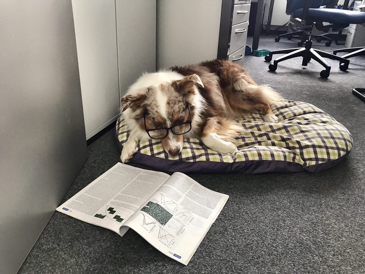 DjangoPhysics's tweet photo. You gotta keep up with the scientific literature in your field of research! #science #ReadingPapers https://t.co/1gl4ZWNbFJ