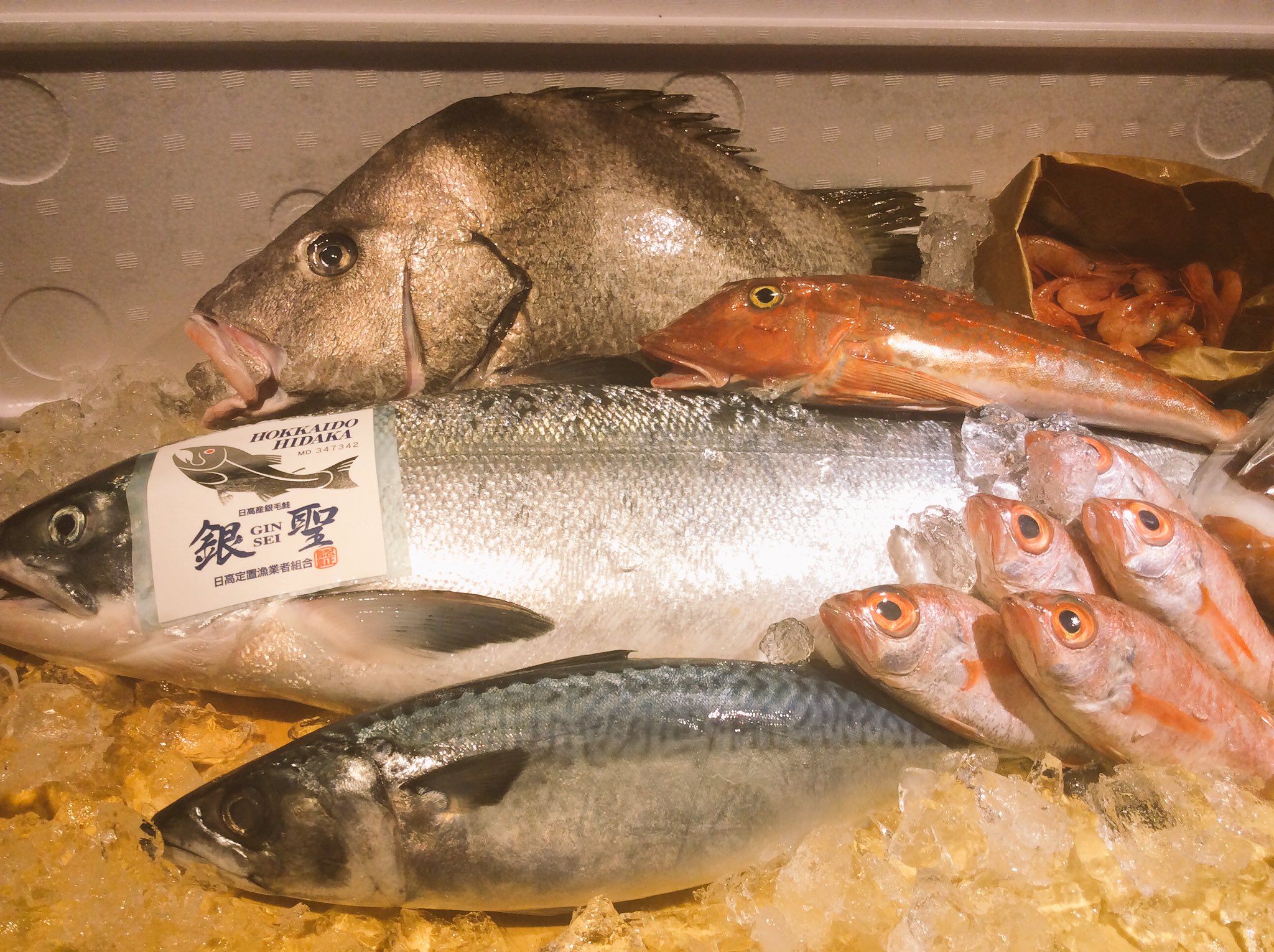 秋葉原 末広町 居酒屋 魚や藤海 Twitter પર 今晩は 本日は連休明け 北海道日高より 銀聖 秋鮭with生イクラ ブランド鮭 食べてみない ˊ ˋ 福岡サバ 鹿児島カンパチ 島根どんちっちのどぐろ ホウボウに 今日の面白魚 髭剃り鯛 あと生甘エビー 水蛸