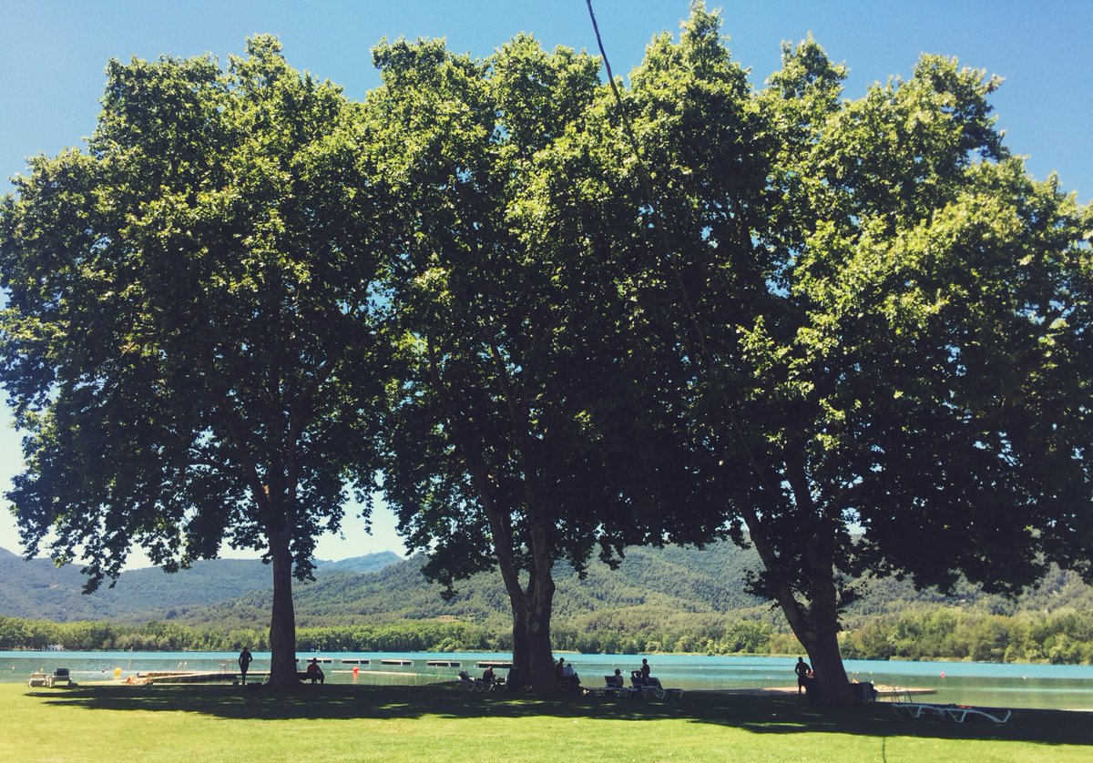 #Day2 in #studio &amp; craving for the #outside #world 🌳🌿🍃🌎