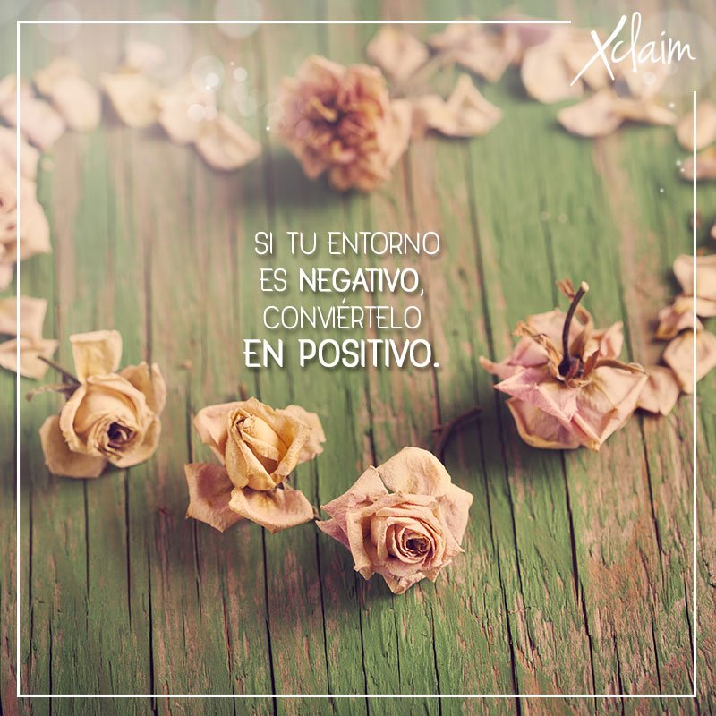 Xclaim El Salvador tweet media