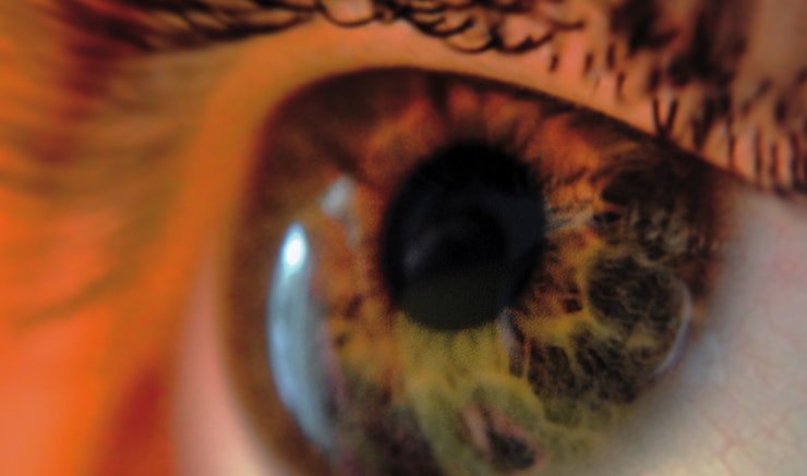 These Colorblind GIFs Show What The World Looks Like For People With Different Spectrums: bit.ly/2wu440W