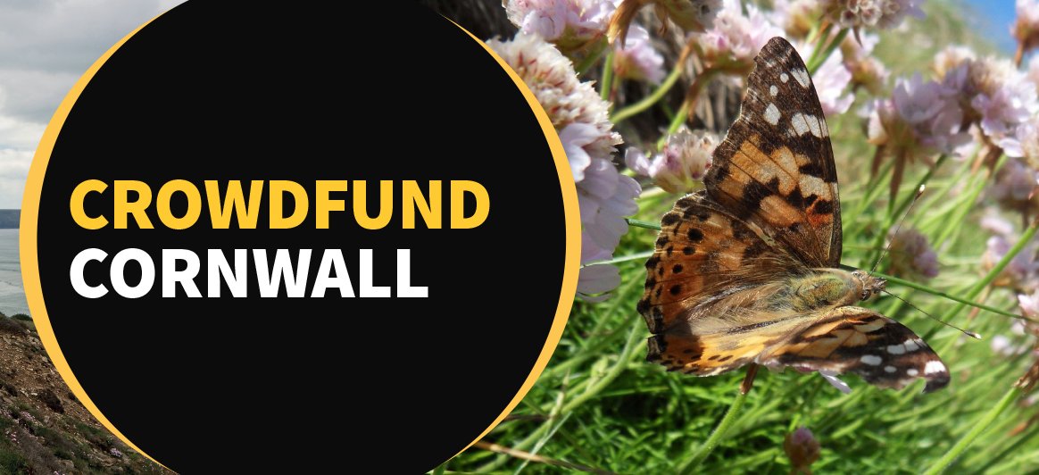 crowdfunderuk's tweet image. Got an environmental/nature project in #Cornwall? Money now available  Crowdfund Cornwall Seed Fund crowdfunder.co.uk/crowdfund-corn… #cornwallcouncil