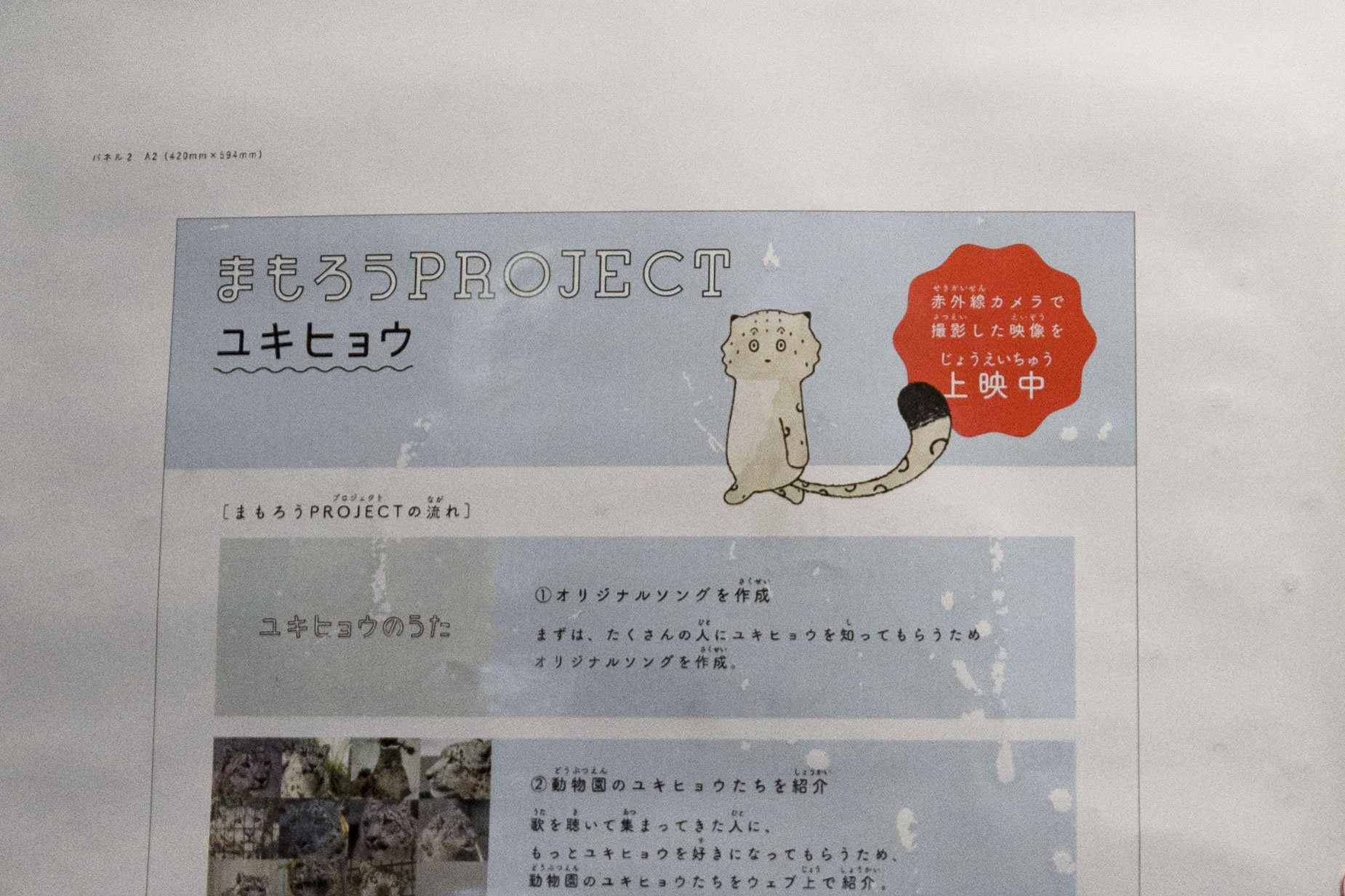 ぷらいまり در توییتر 円山動物園 動物の紹介のイラストがどれも個性的でステキ 動物によって画風が違うけど それぞれの飼育員さんが書いているのかな ぷらいまり در توییتر 円山動物園 動物の紹介のイラストがどれも個性的でステキ 動物によって画風が違うけど それぞれの飼育員さんが書いているのかな