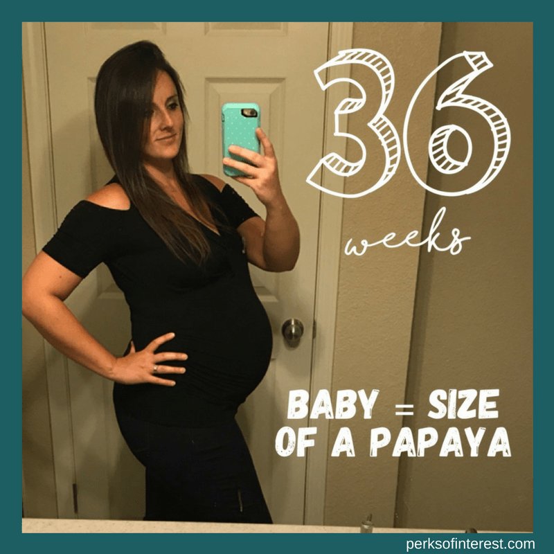 perksofinterest's tweet image. Pregnancy Update – 36 Weeks perksofinterest.com/pregnancy-upda…