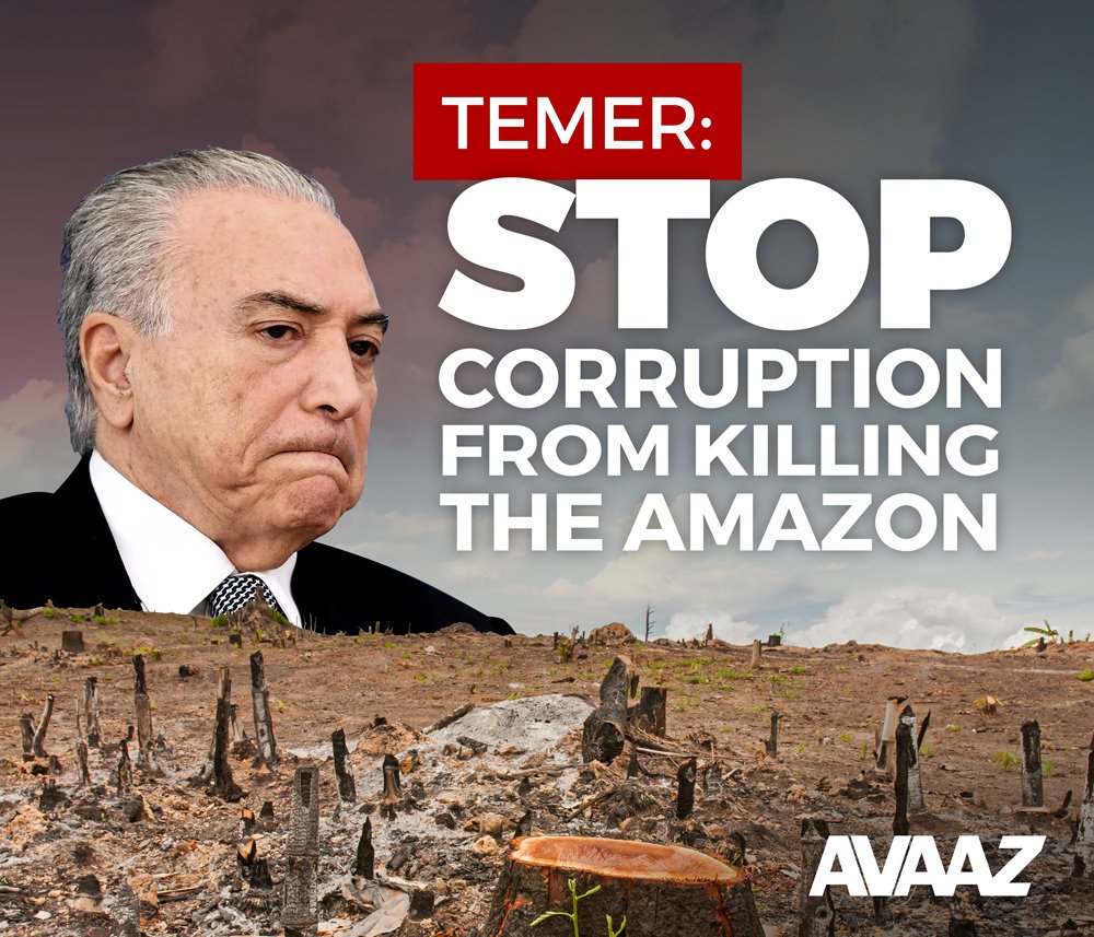 Avaaz's tweet image. While Brazil's President #Temer opens the #UNGA2017 today, over 1.6 million calling on him to protect the #Amazon! avaaz.org/campaign/en/al…