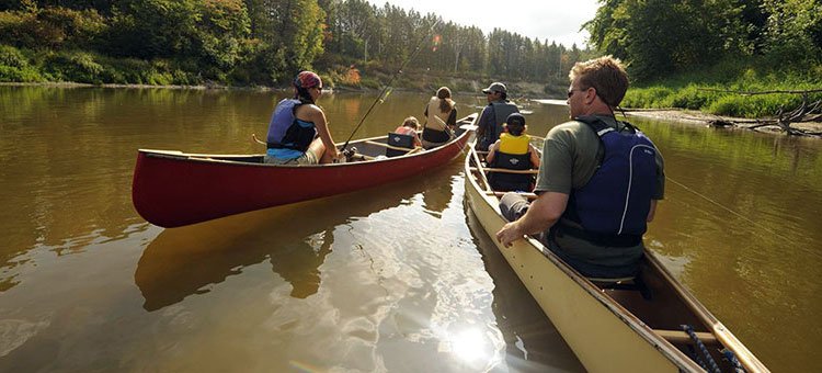 mnstateparks's tweet photo. There are 35 state water w/ 4500 miles of paddling in MN! Just another great way to see fall colors! #mnstatetrails #WowofFall #OnlyinMN https://t.co/SzgorW482C