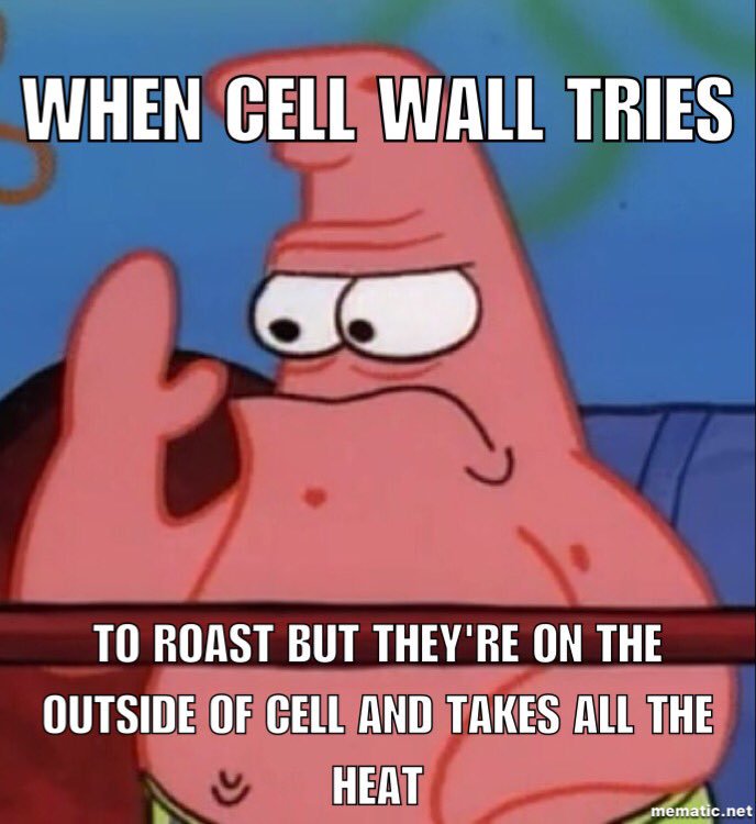 MomOchondria's tweet photo. #organellewars #getttold @Mrs_Hibbs https://t.co/T4zjOjCMDR