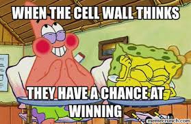 MomOchondria's tweet photo. #gettold #organellewars @Mrs_Hibbs https://t.co/7pDY6zvMcy