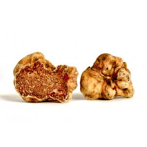 AlicanteGastro's tweet photo. Trufas: mitos,leyendas y otras curiosidades. Completo artículo de Fran Jiménez en nuestro blog https://t.co/HEaRxGxRij
#gastronomia #trufas https://t.co/33jOYO4oZt