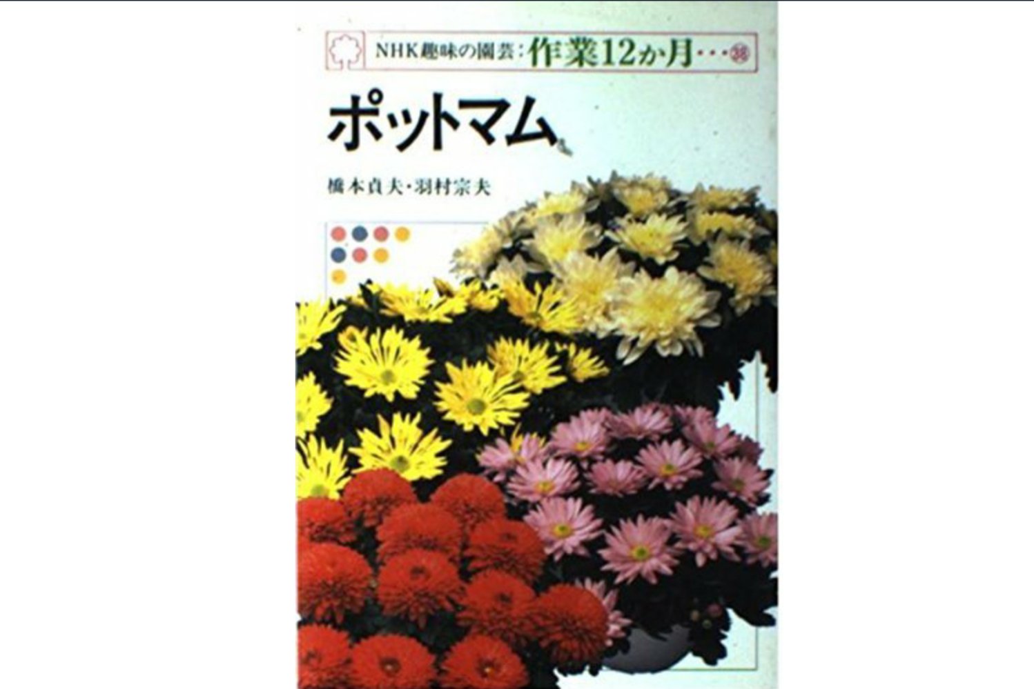 わび さび No Twitter ポット マム 鉢植えの洋菊 1950年代にアメリカで鉢植え向けに品種改良されたもの 開花期によって 夏菊 夏秋菊 秋菊 寒菊 に分けられ ポットマムは秋菊だそうだ 花言葉 高潔なる愛など ひよっこ 沢村一樹 ポットマム